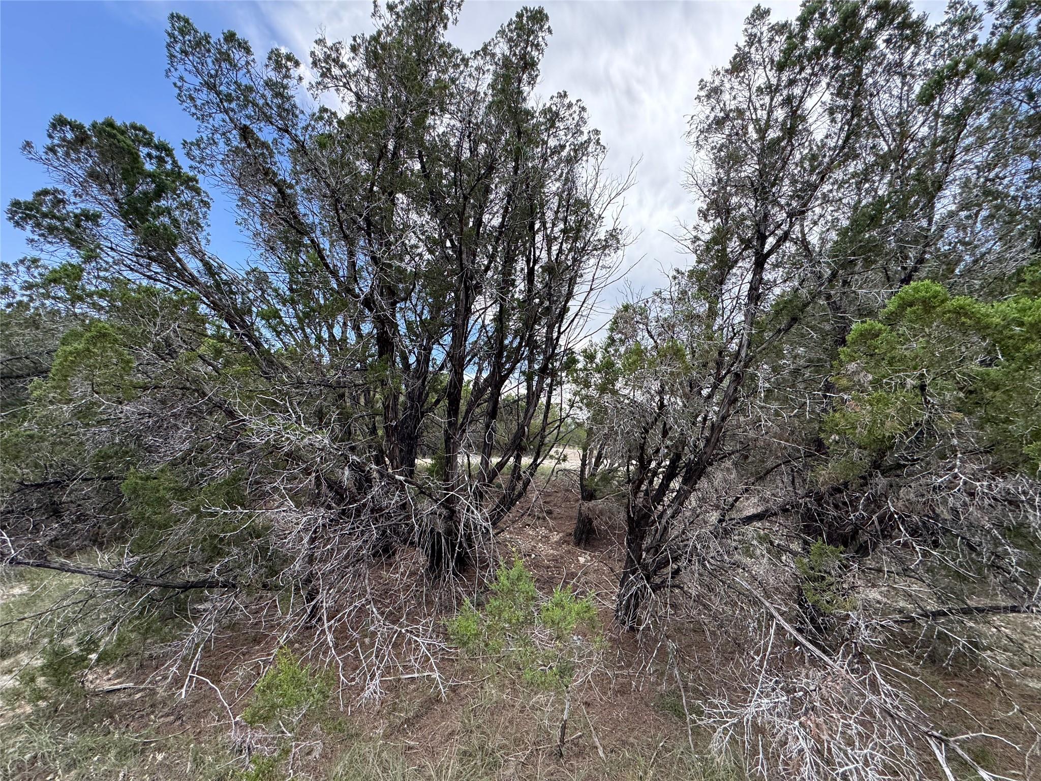20800 Cedar Ridge Cove Lago Vista TX 78645
