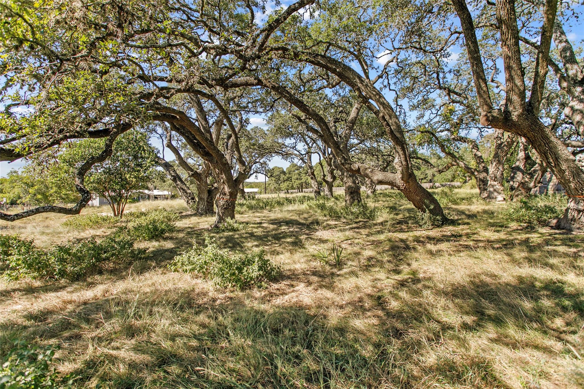 1314 Greenlawn Parkway Blanco TX 78606
