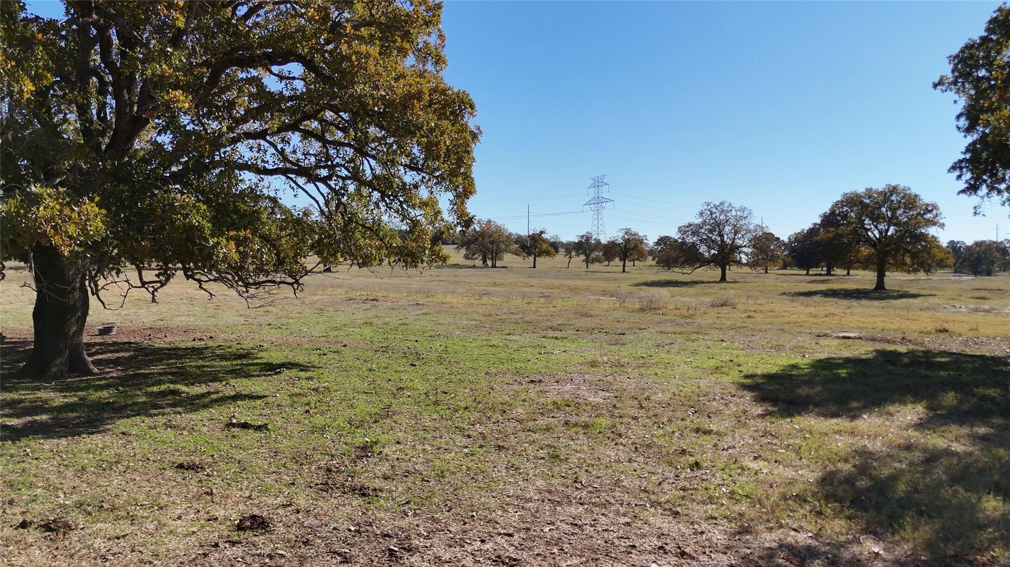 Tbd County Road 481 Thrall TX 76578