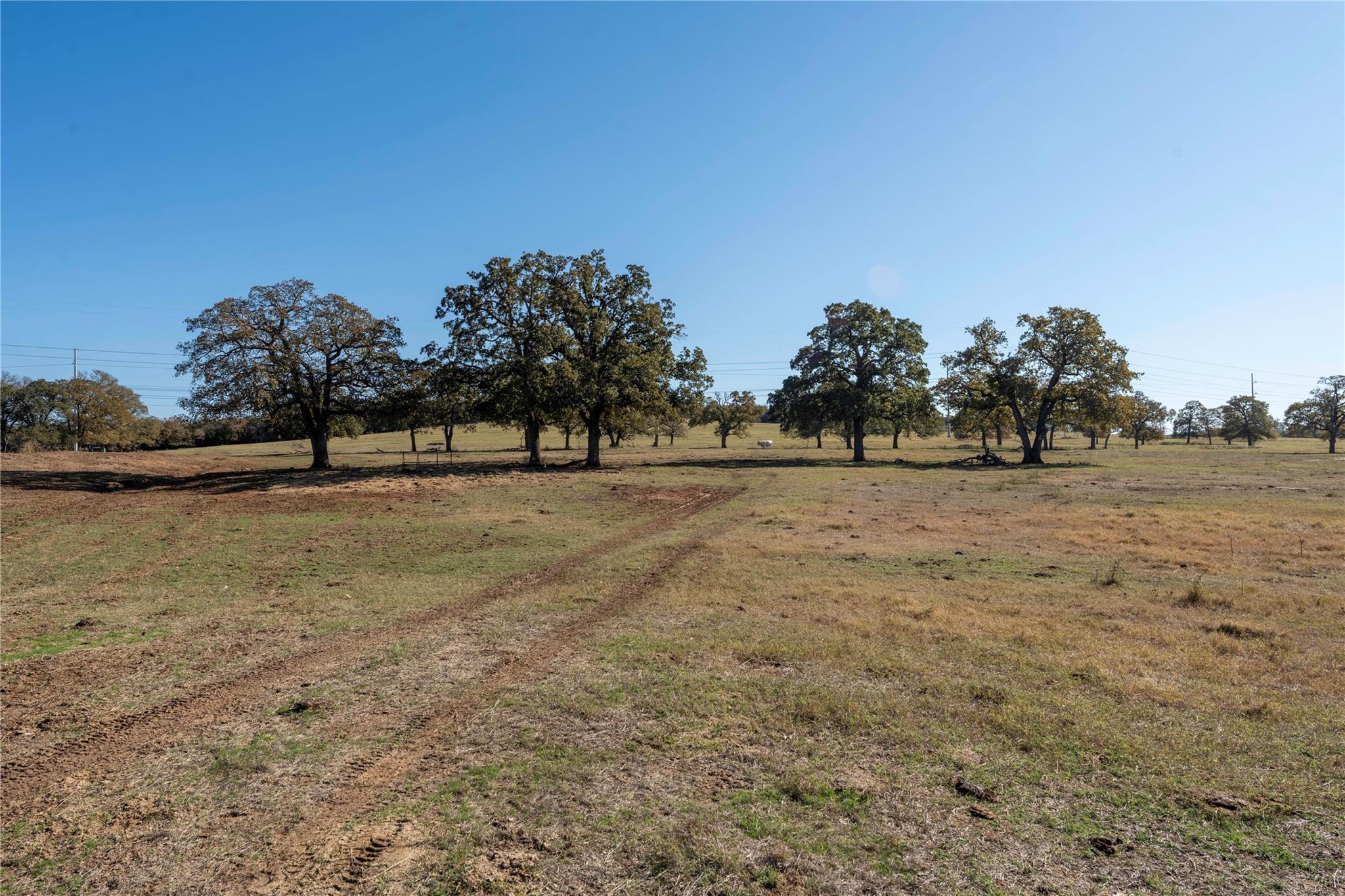 Tbd County Road 481 Thrall TX 76578