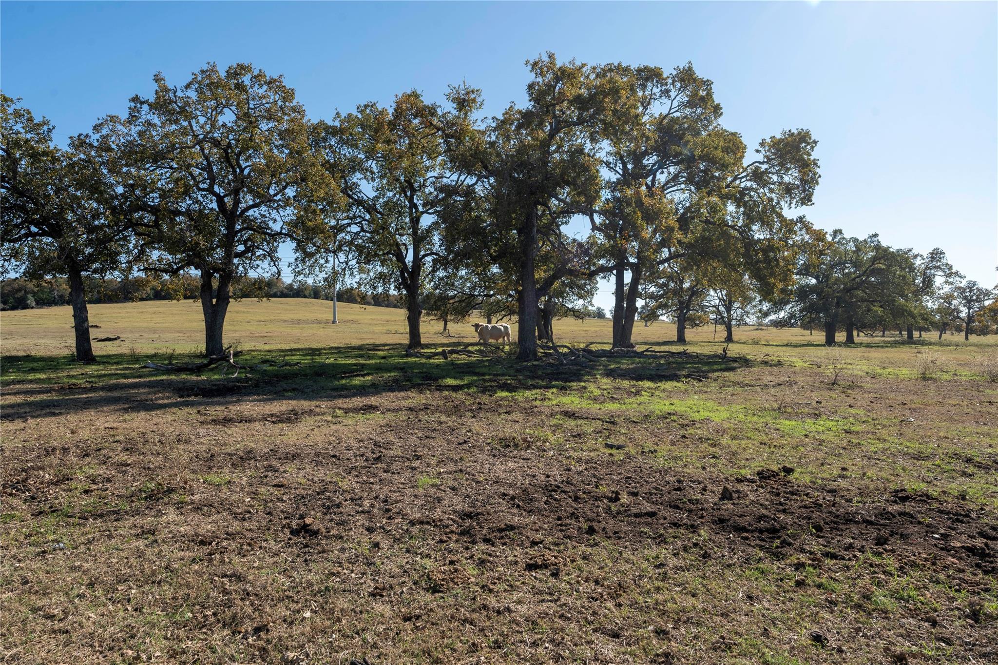 Tbd County Road 481 Thrall TX 76578