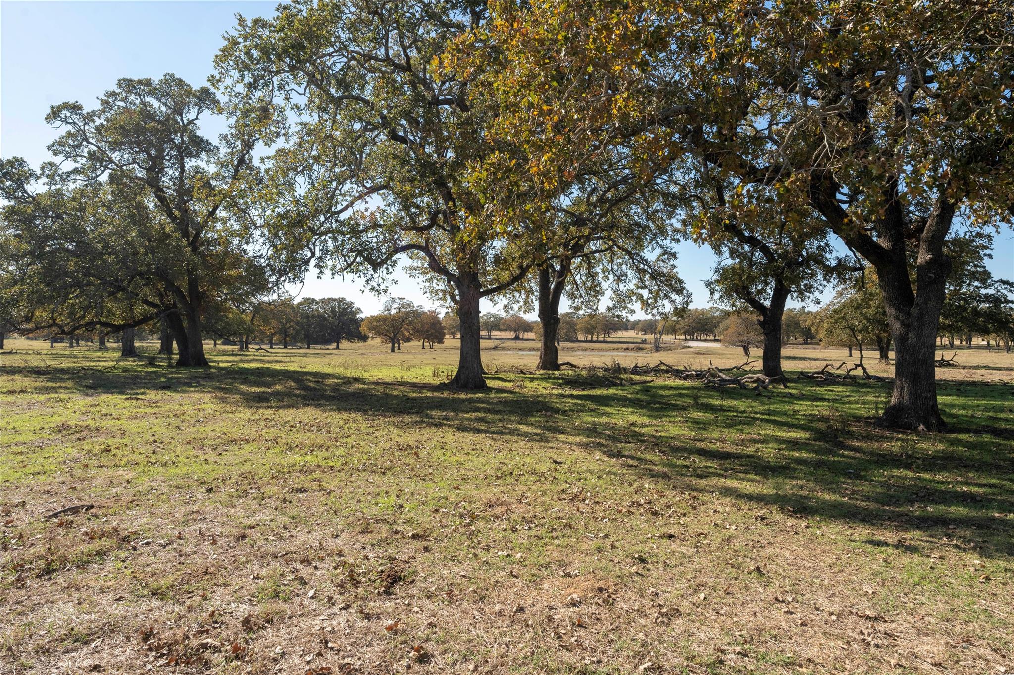 Tbd County Road 481 Thrall TX 76578
