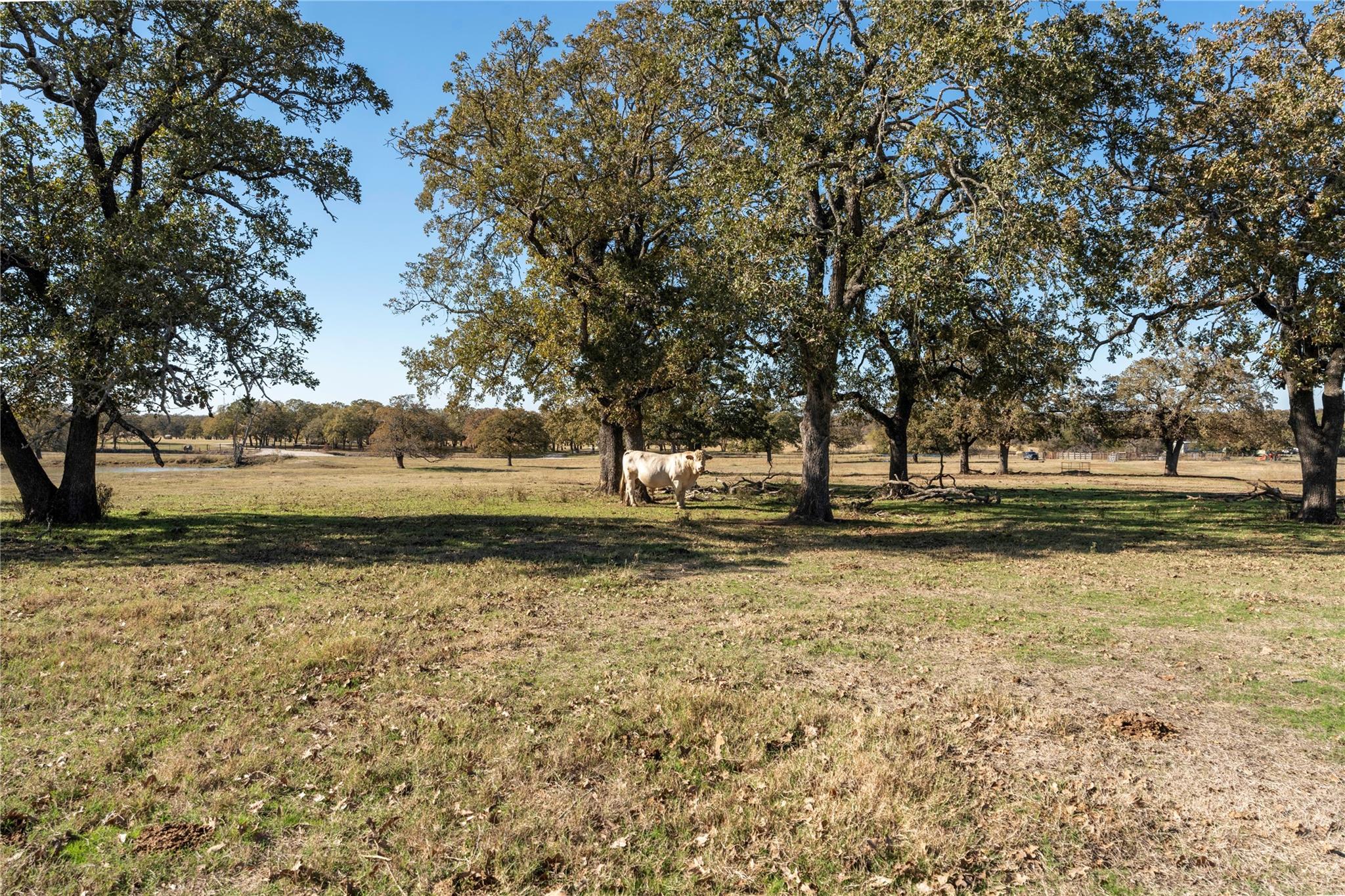 Tbd County Road 481 Thrall TX 76578