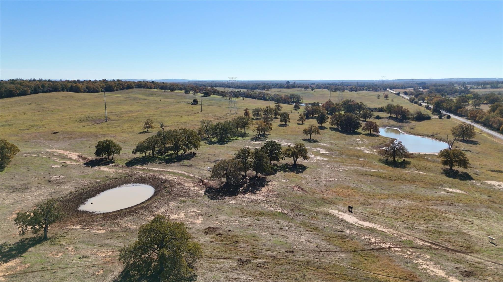 Tbd County Road 481 Thrall TX 76578