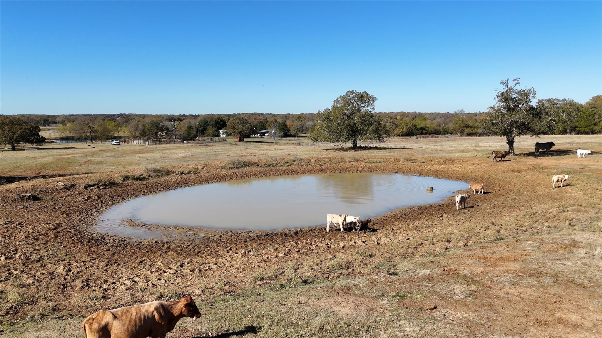 Tbd County Road 481 Thrall TX 76578