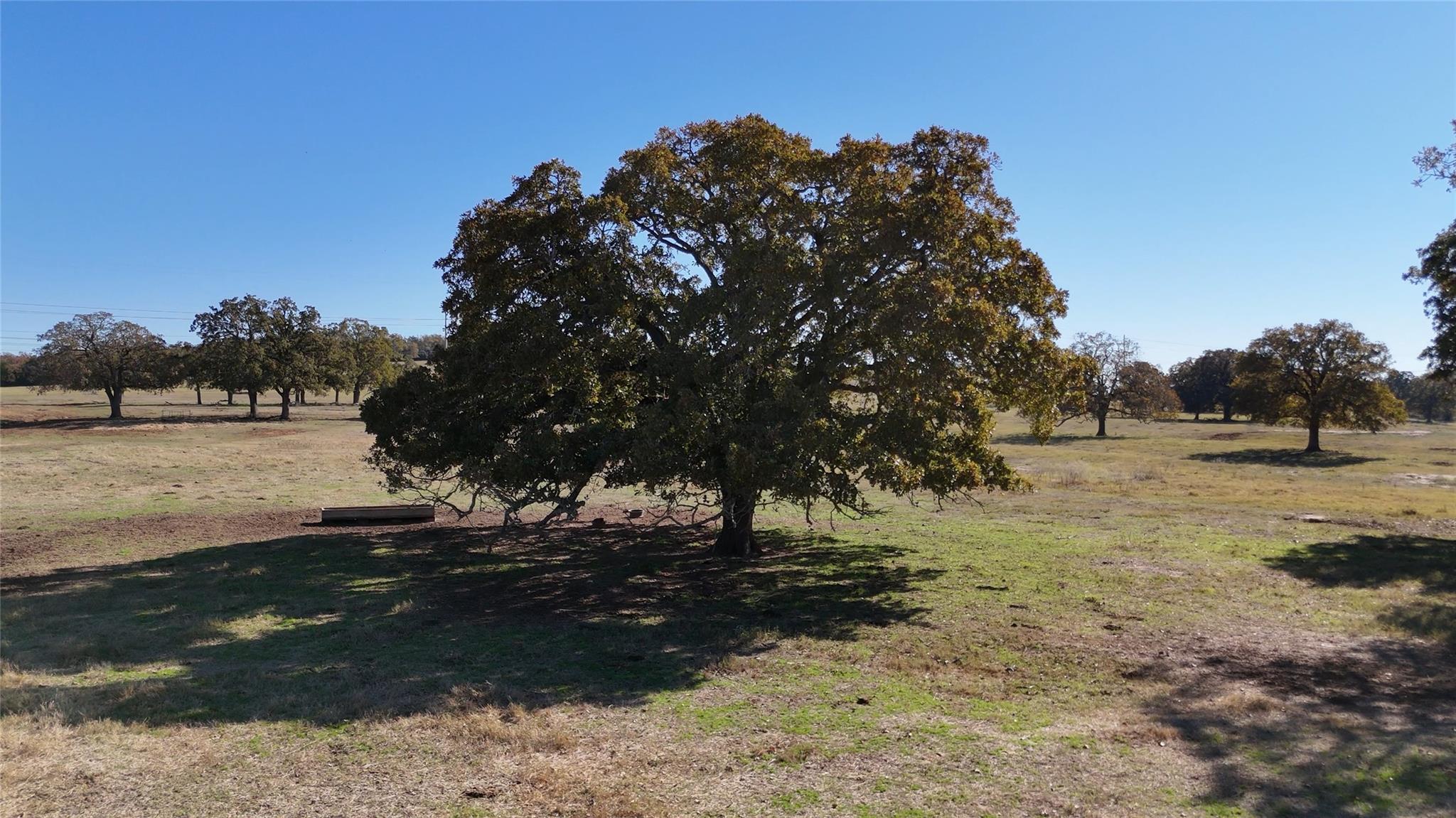 Tbd County Road 481 Thrall TX 76578