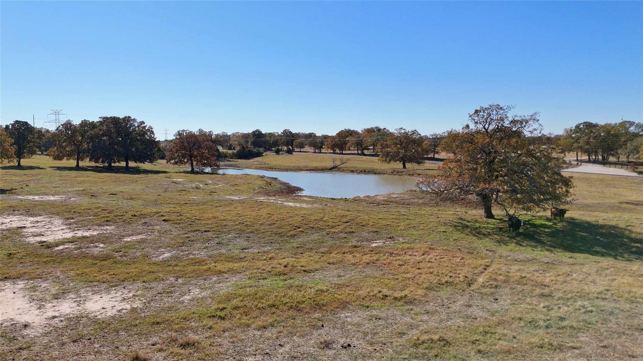 Tbd County Road 481 Thrall TX 76578