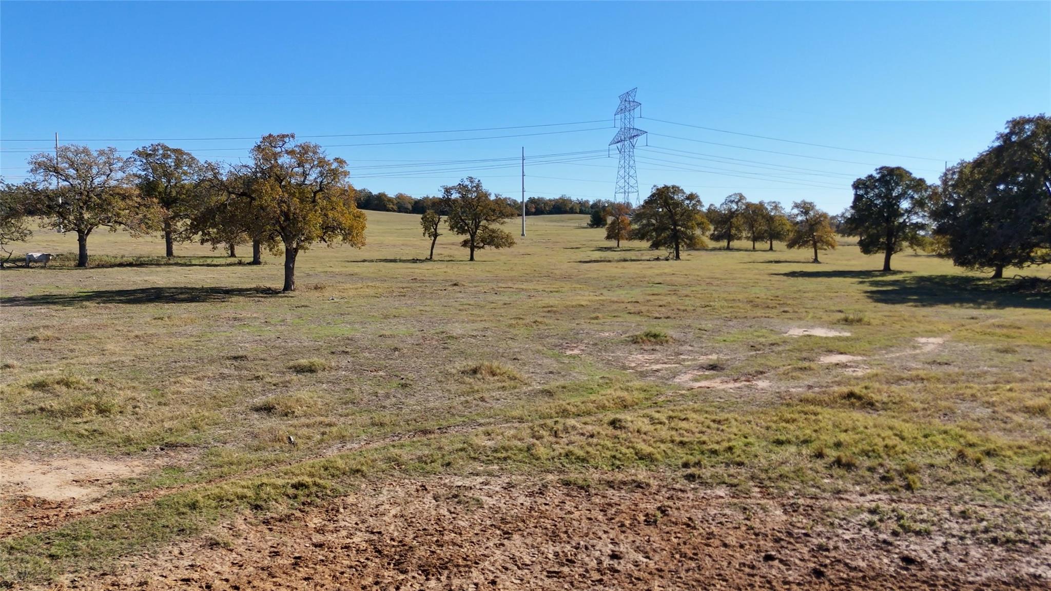 Tbd County Road 481 Thrall TX 76578