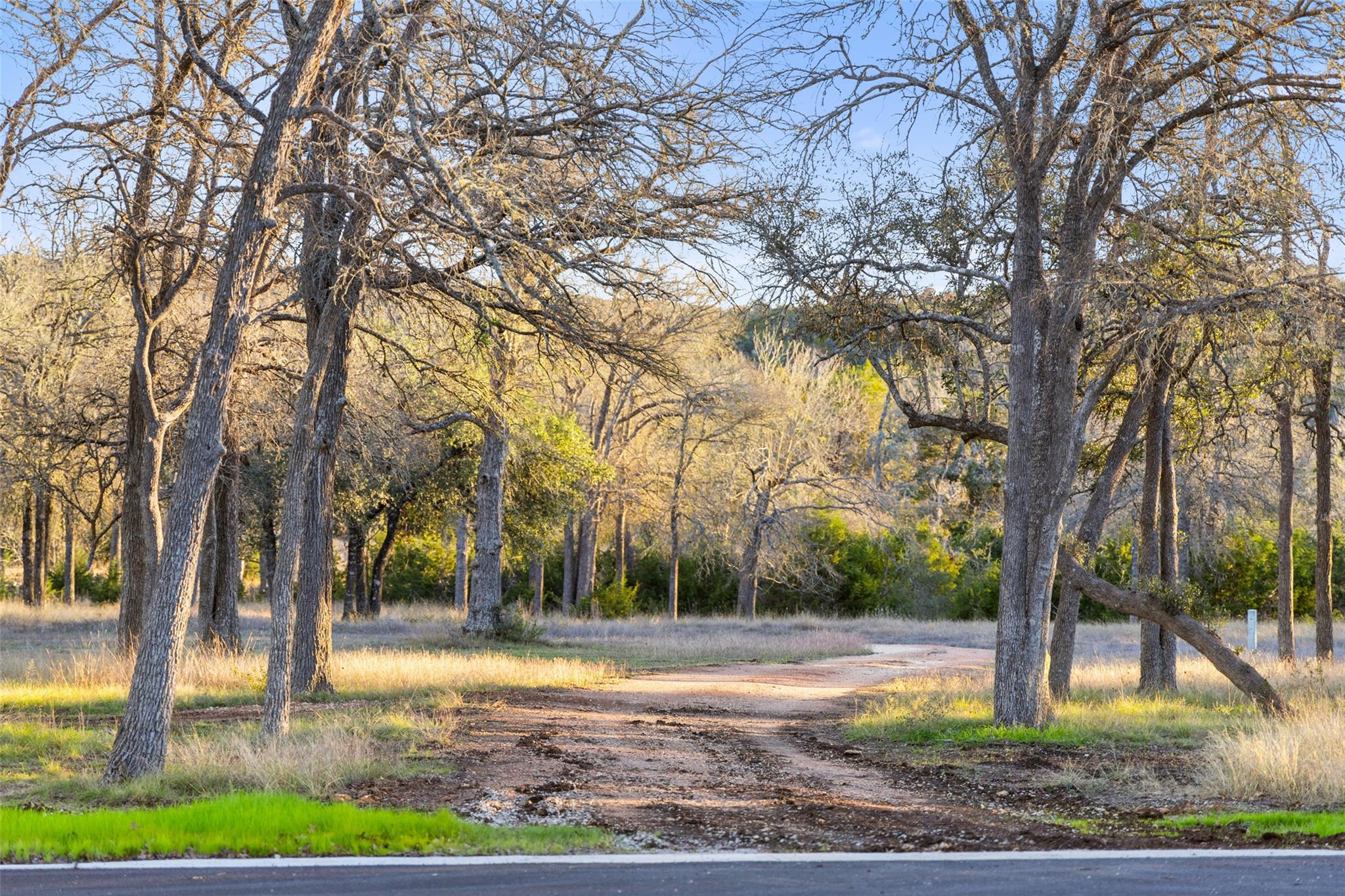 Lot 25 Mesa Ranch Road Dripping Springs TX 78620