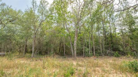 926 Ferguson Loop Dale TX 78616