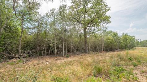926 Ferguson Loop Dale TX 78616