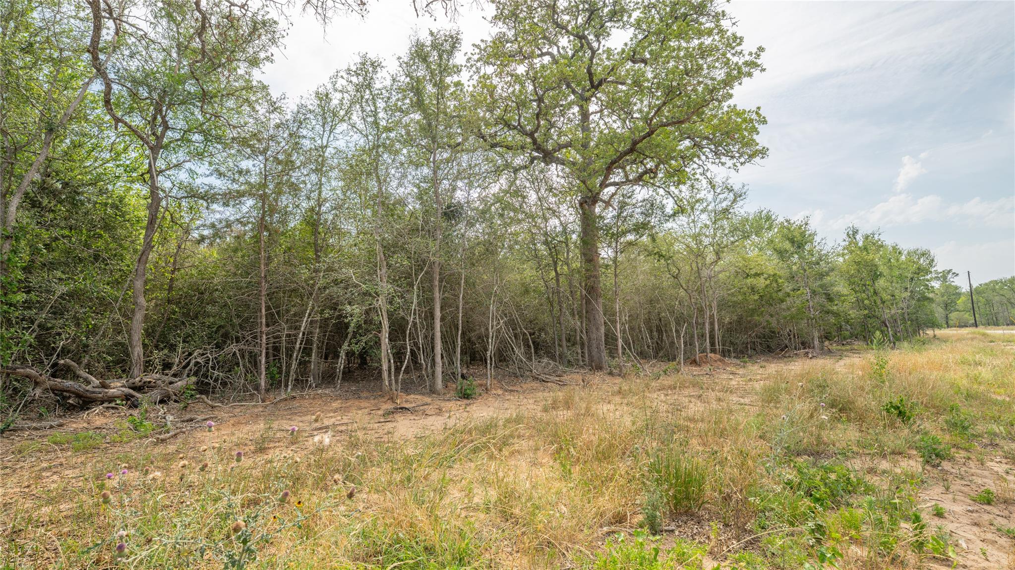 926 Ferguson Loop Dale TX 78616