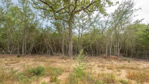 926 Ferguson Loop Dale TX 78616