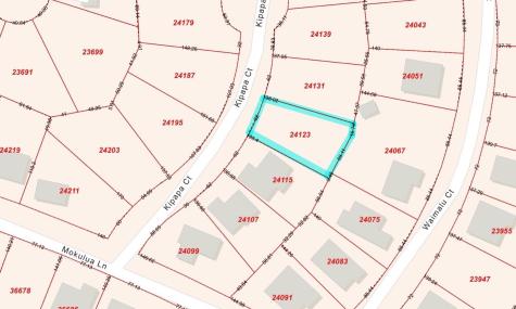 111 Kipapa Court Bastrop TX 78602