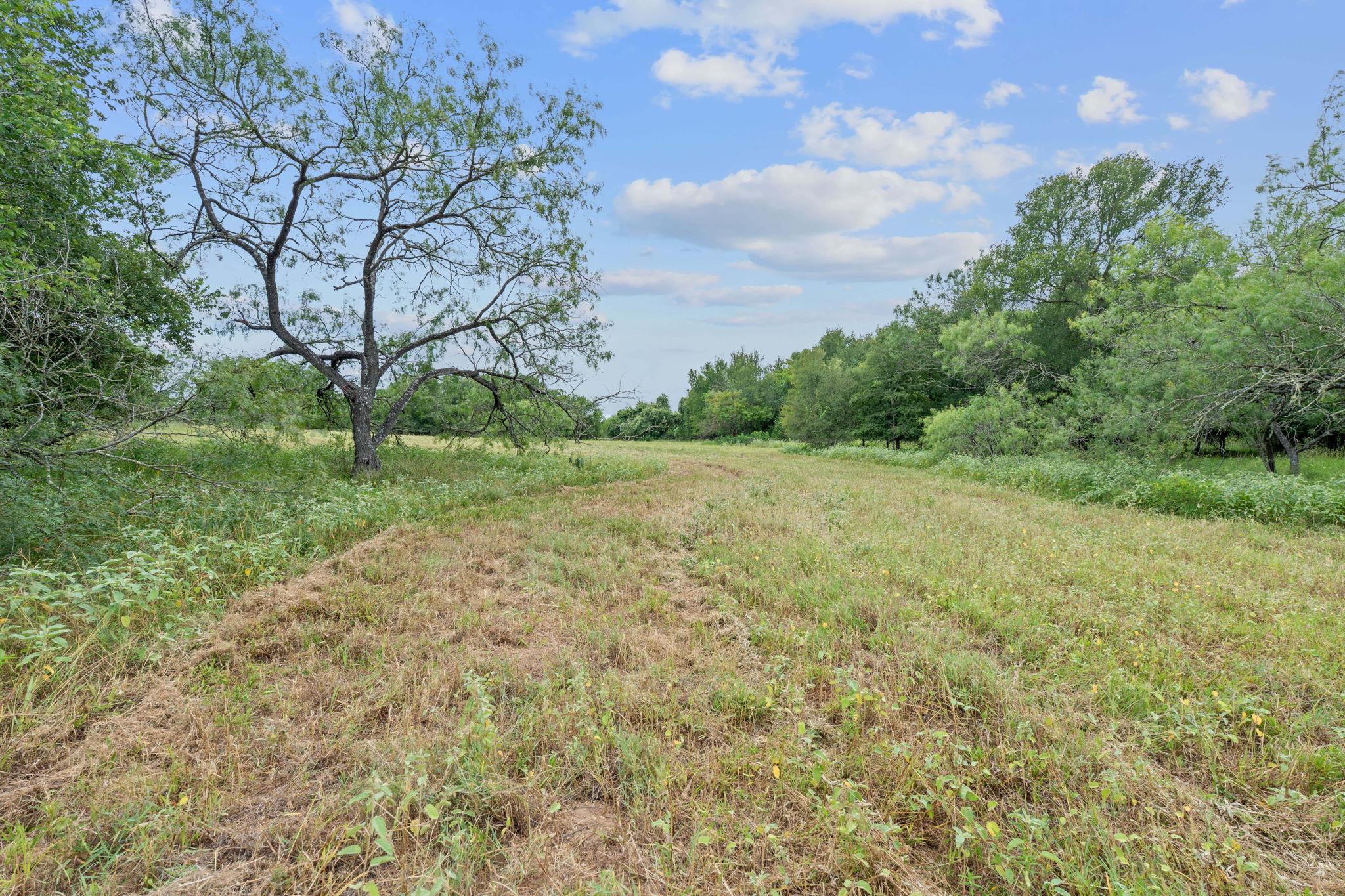 3597 Baker Road Kingsbury TX 78638