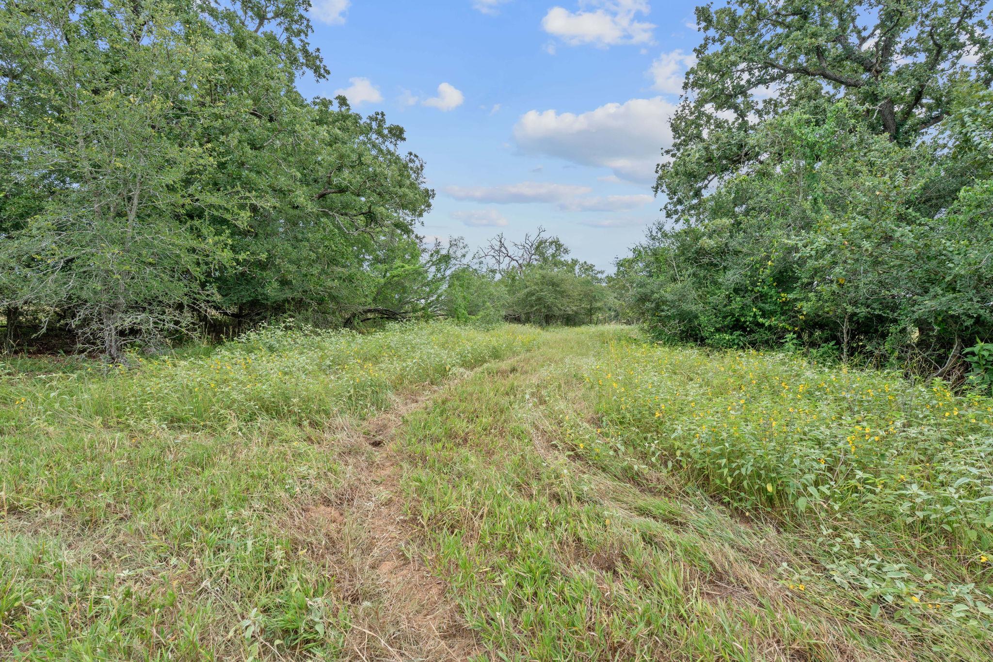 3597 Baker Road Kingsbury TX 78638