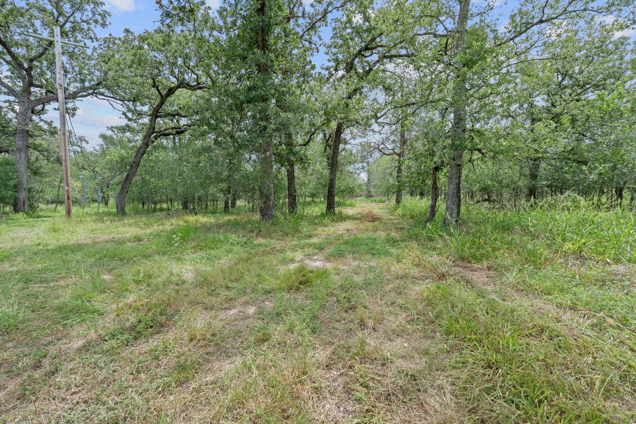 3597 Baker Road Kingsbury TX 78638