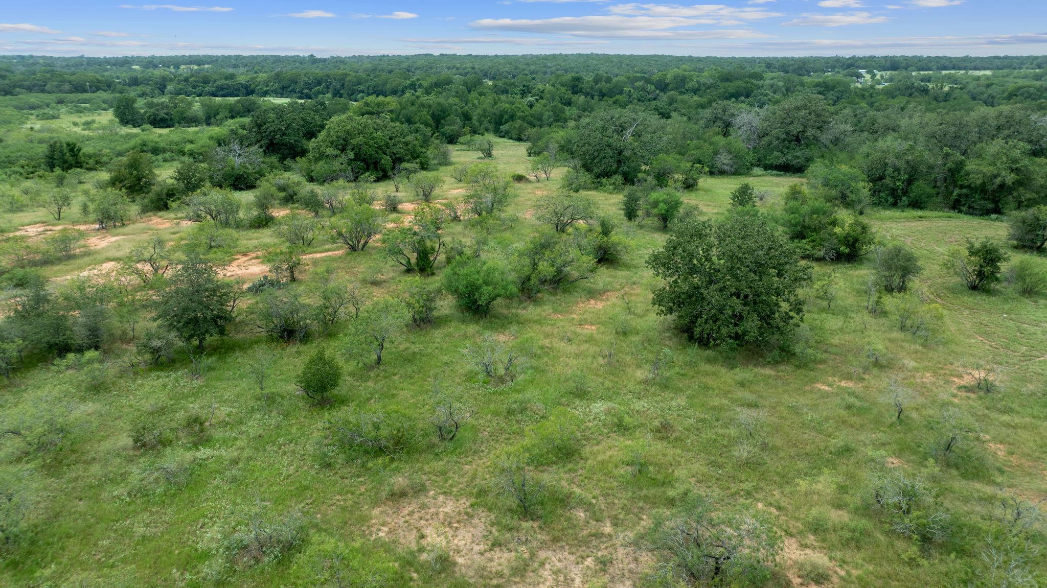 3597 Baker Road Kingsbury TX 78638