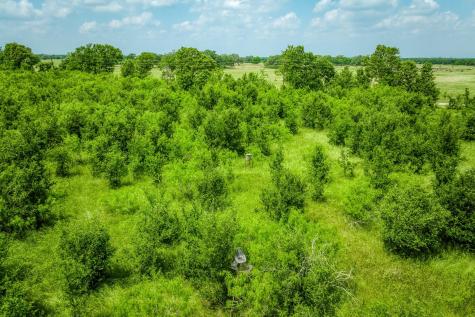 10396 County Road 276 Land Somerville TX 77879