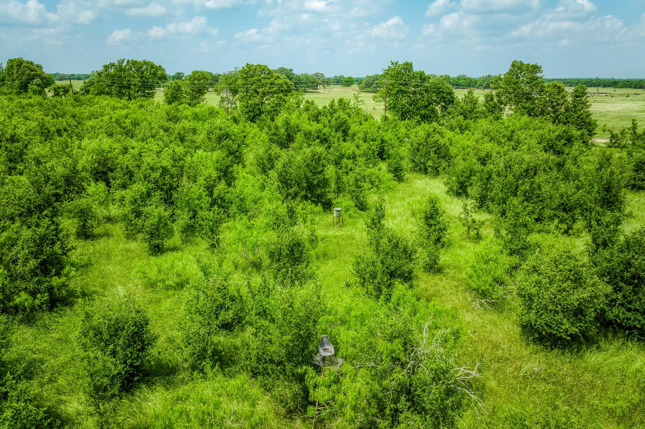 10396 County Road 276 Land Somerville TX 77879