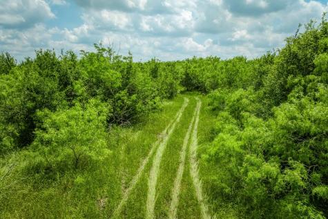 10396 County Road 276 Land Somerville TX 77879