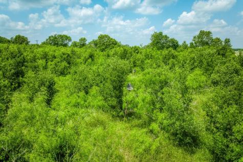 10396 County Road 276 Land Somerville TX 77879