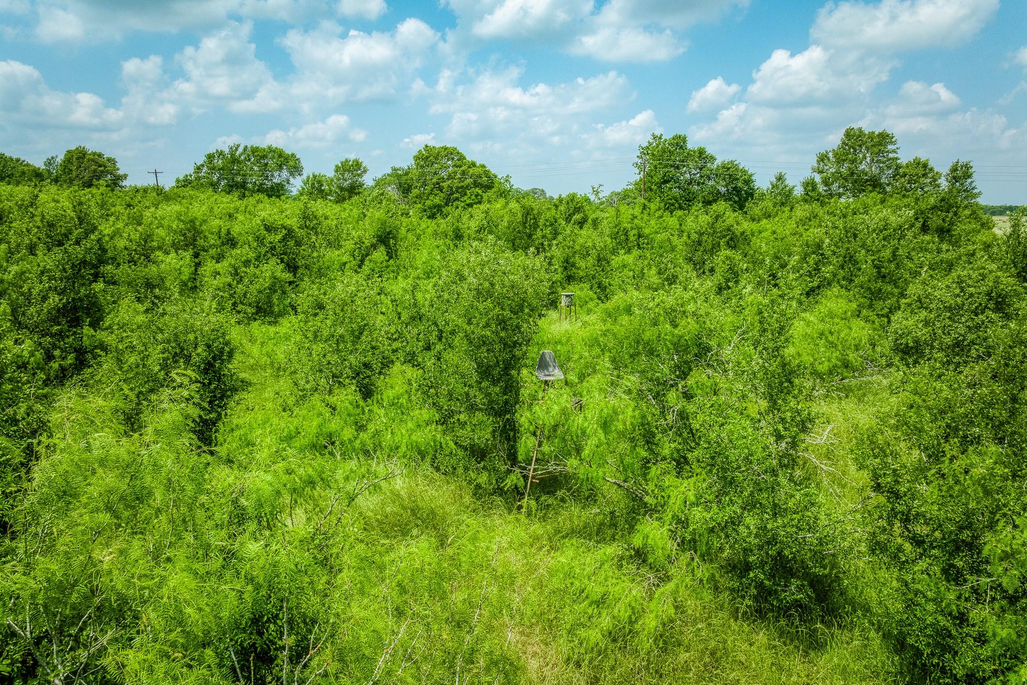 10396 County Road 276 Land Somerville TX 77879