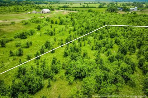 10396 County Road 276 Land Somerville TX 77879