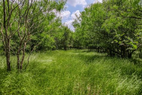 10396 County Road 276 Land Somerville TX 77879