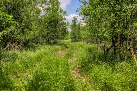 10396 County Road 276 Land Somerville TX 77879