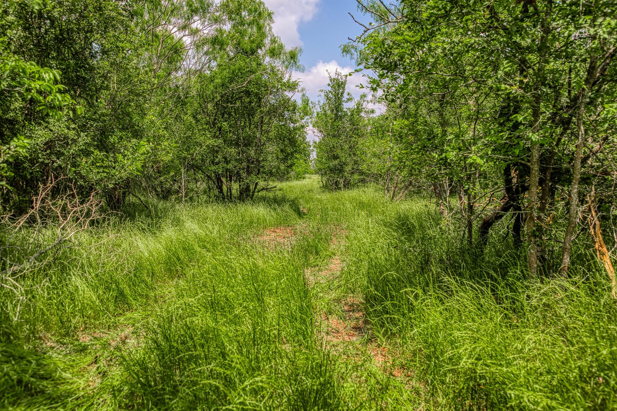 10396 County Road 276 Land Somerville TX 77879