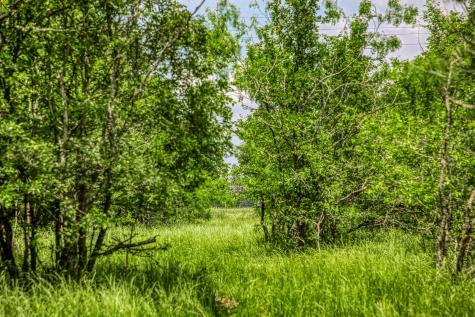10396 County Road 276 Land Somerville TX 77879