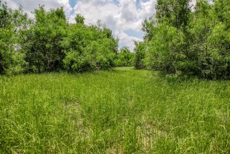 10396 County Road 276 Land Somerville TX 77879