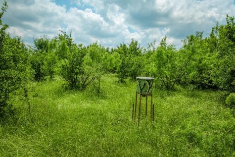 10396 County Road 276 Land Somerville TX 77879