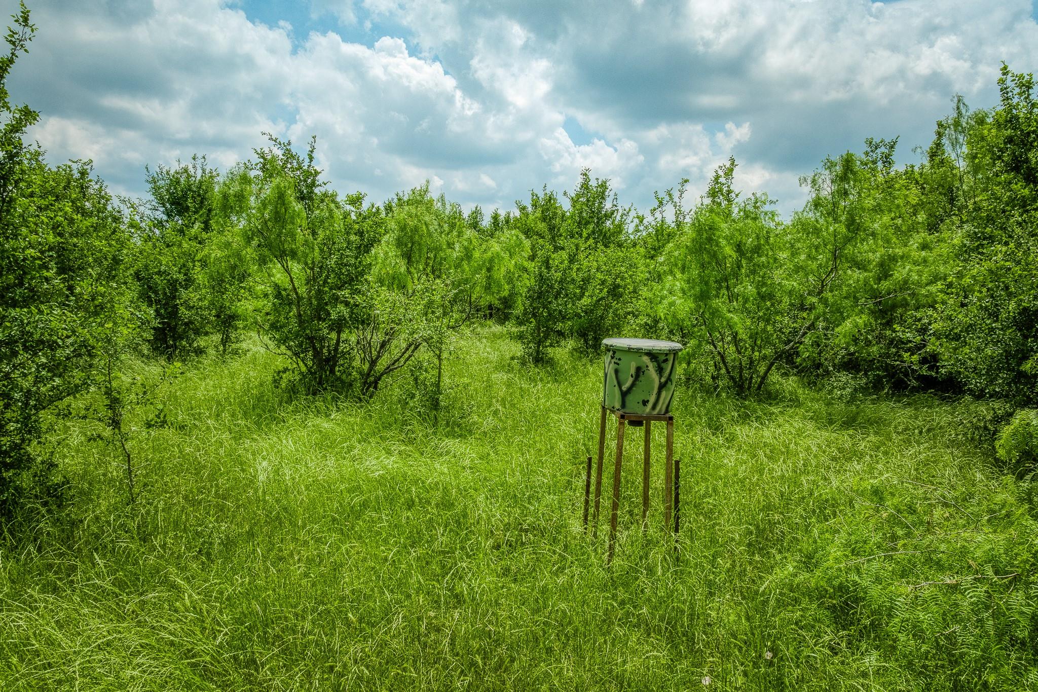 10396 County Road 276 Land Somerville TX 77879