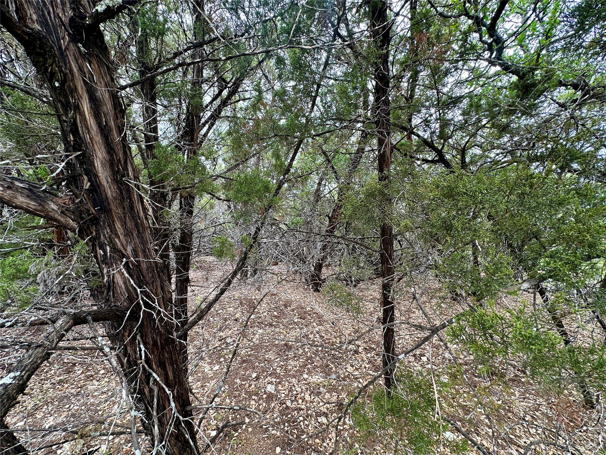 20732 Camel Back Street Lago Vista TX 78645