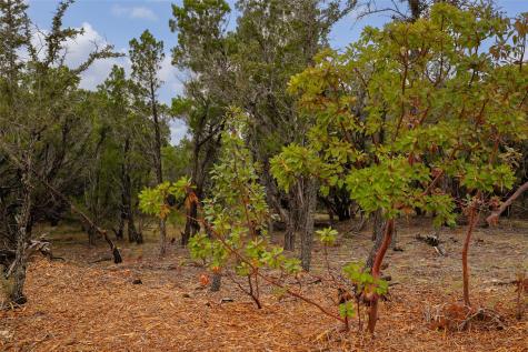 Tbd Stagecoach Ranch Loop Dripping Springs TX 78620