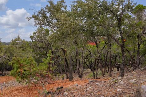 Tbd Stagecoach Ranch Loop Dripping Springs TX 78620