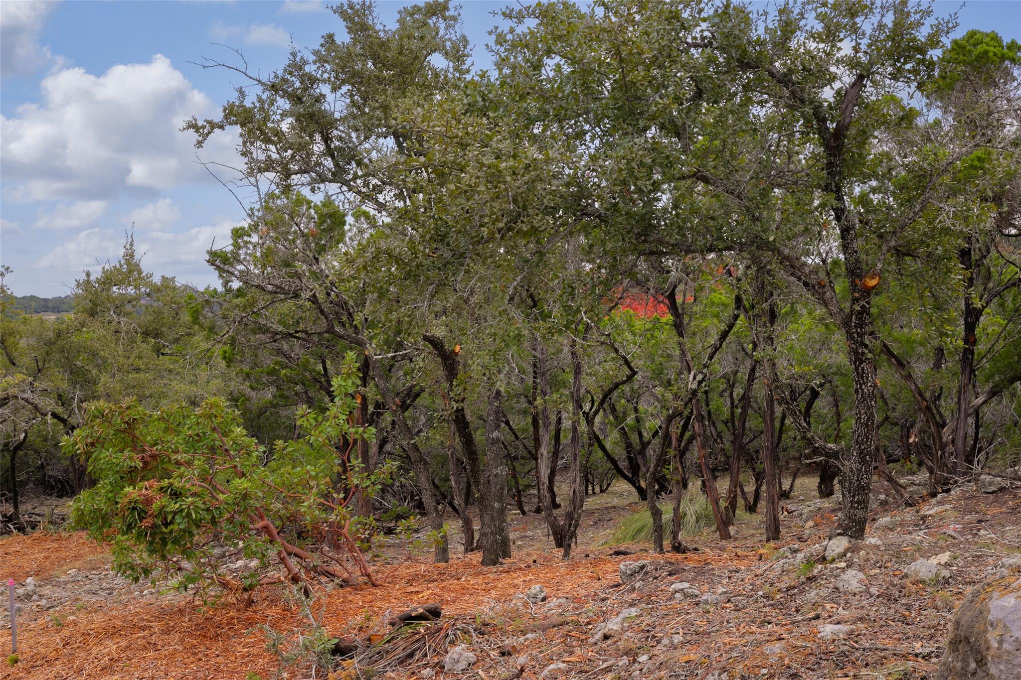 Tbd Stagecoach Ranch Loop Dripping Springs TX 78620