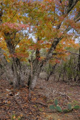 Tbd Stagecoach Ranch Loop Dripping Springs TX 78620