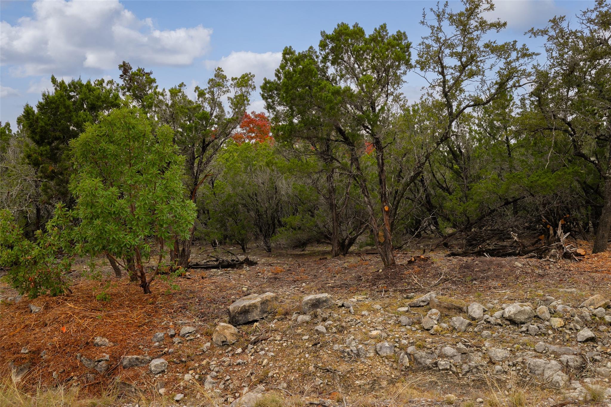 Tbd Stagecoach Ranch Loop Dripping Springs TX 78620