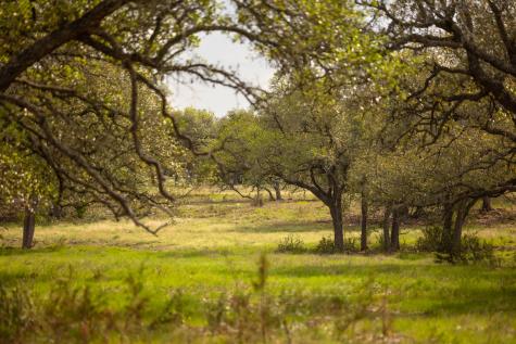 2609 Prochnow Road Dripping Springs TX 78620