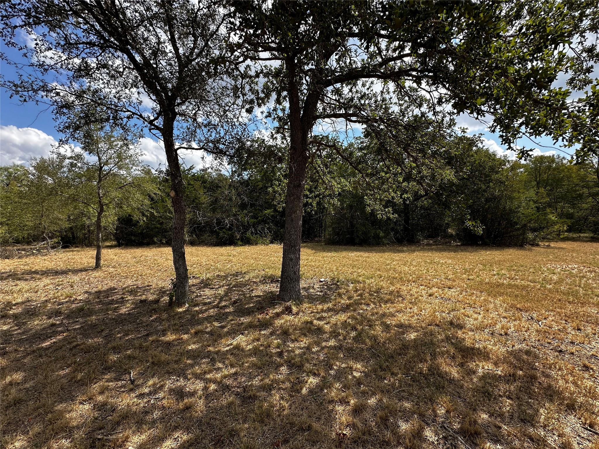 1535 Old Colony Line Road Dale TX 78616