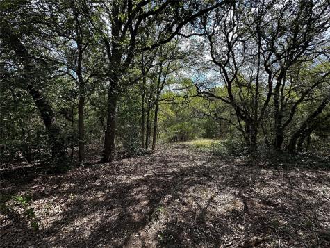 1535 Old Colony Line Road Dale TX 78616