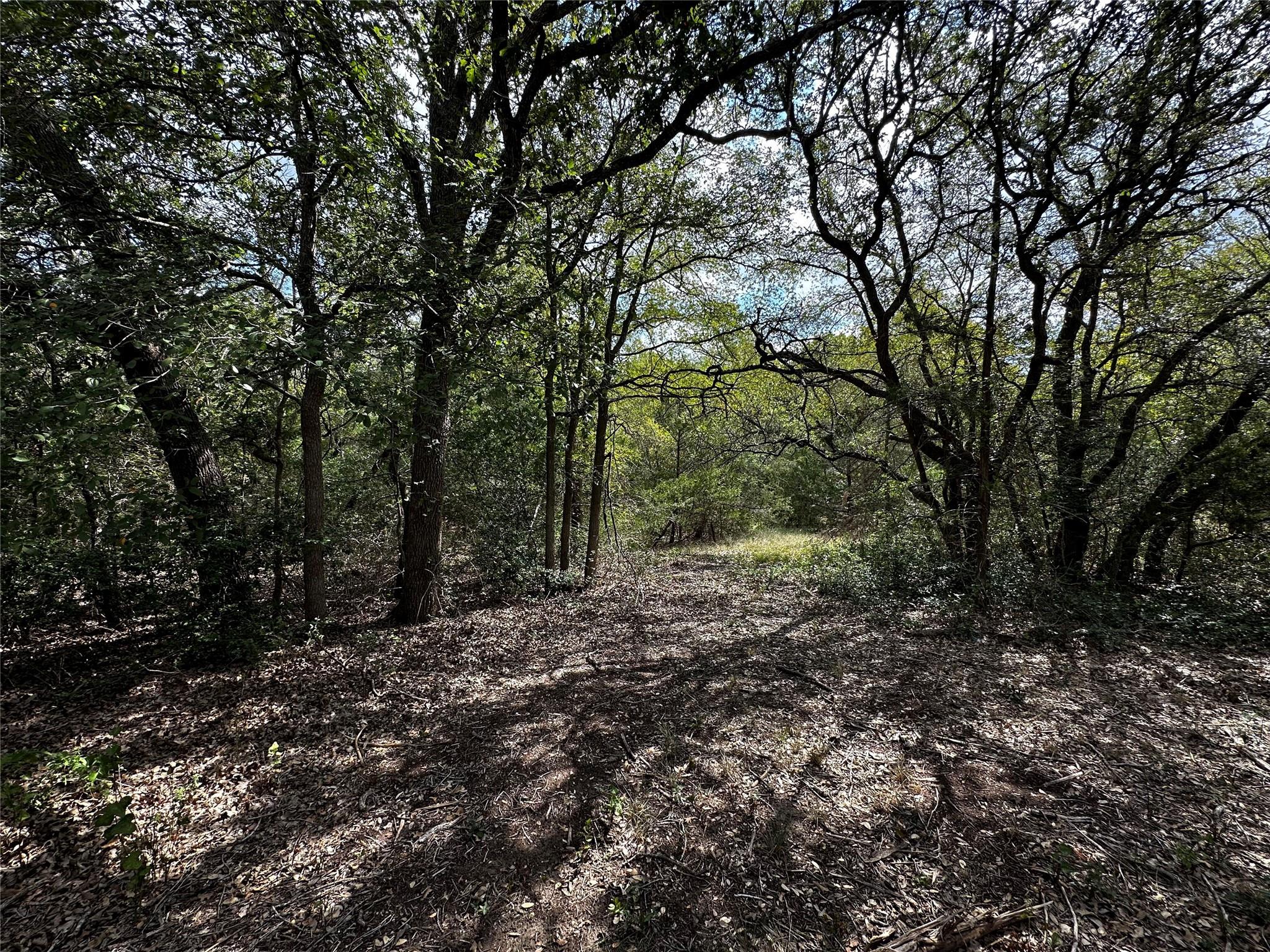 1535 Old Colony Line Road Dale TX 78616