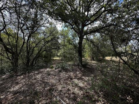 1535 Old Colony Line Road Dale TX 78616