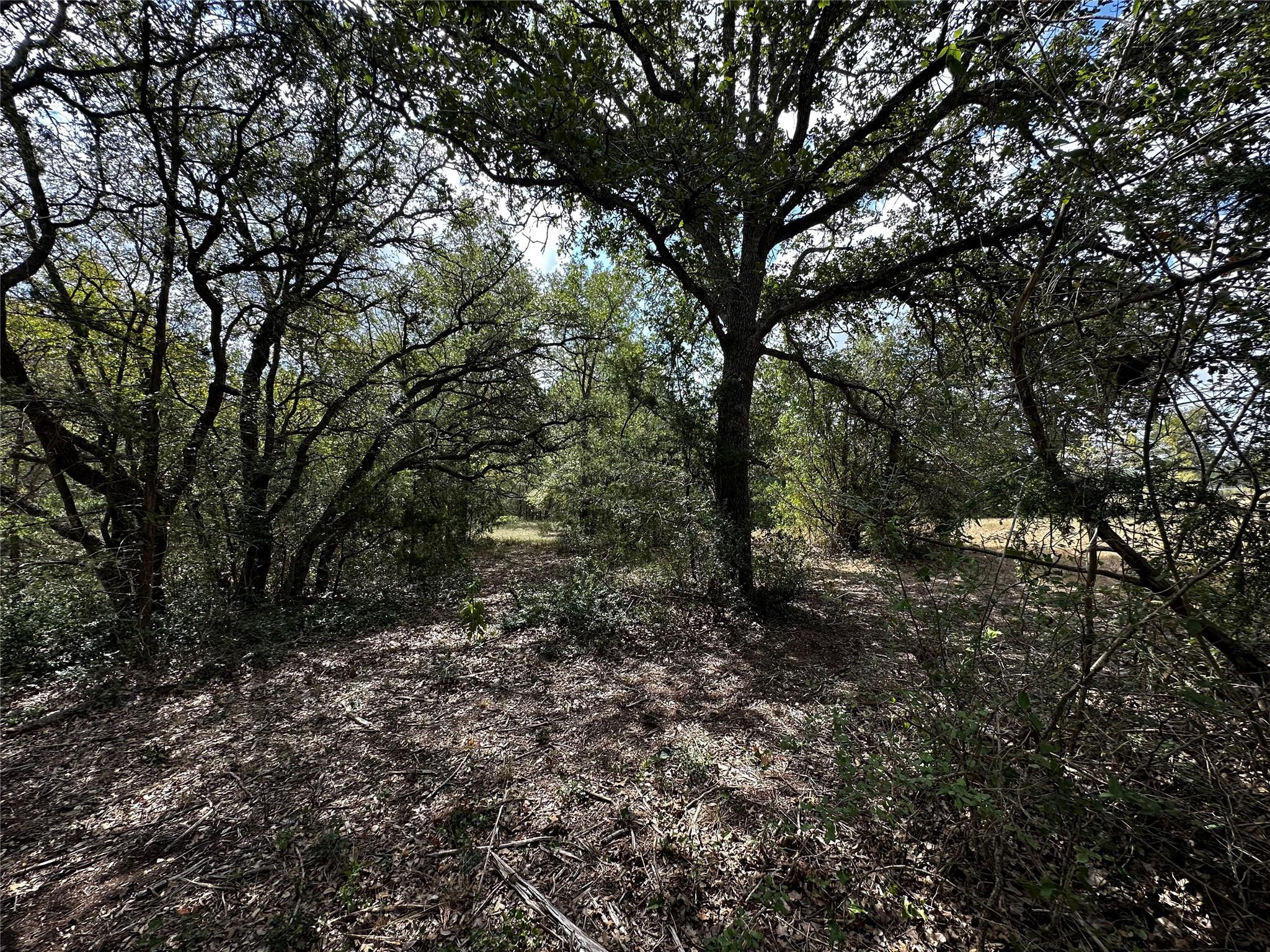 1535 Old Colony Line Road Dale TX 78616