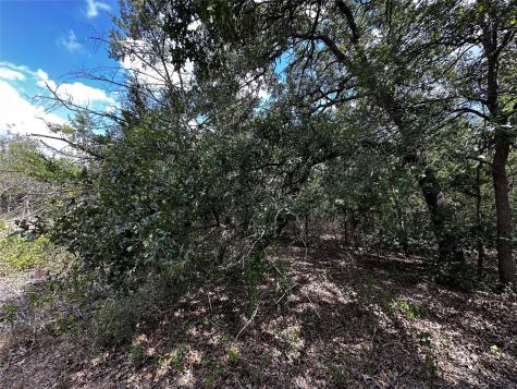1535 Old Colony Line Road Dale TX 78616