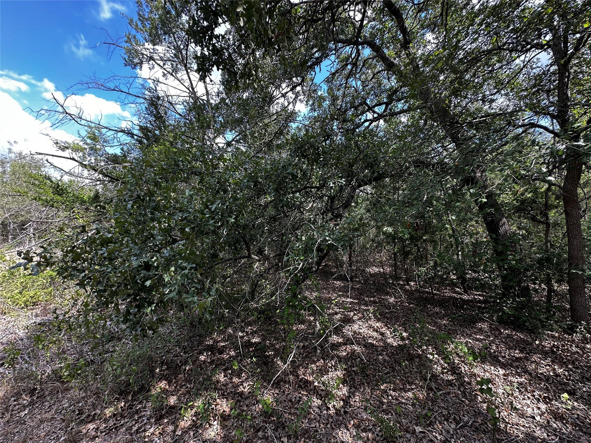 1535 Old Colony Line Road Dale TX 78616