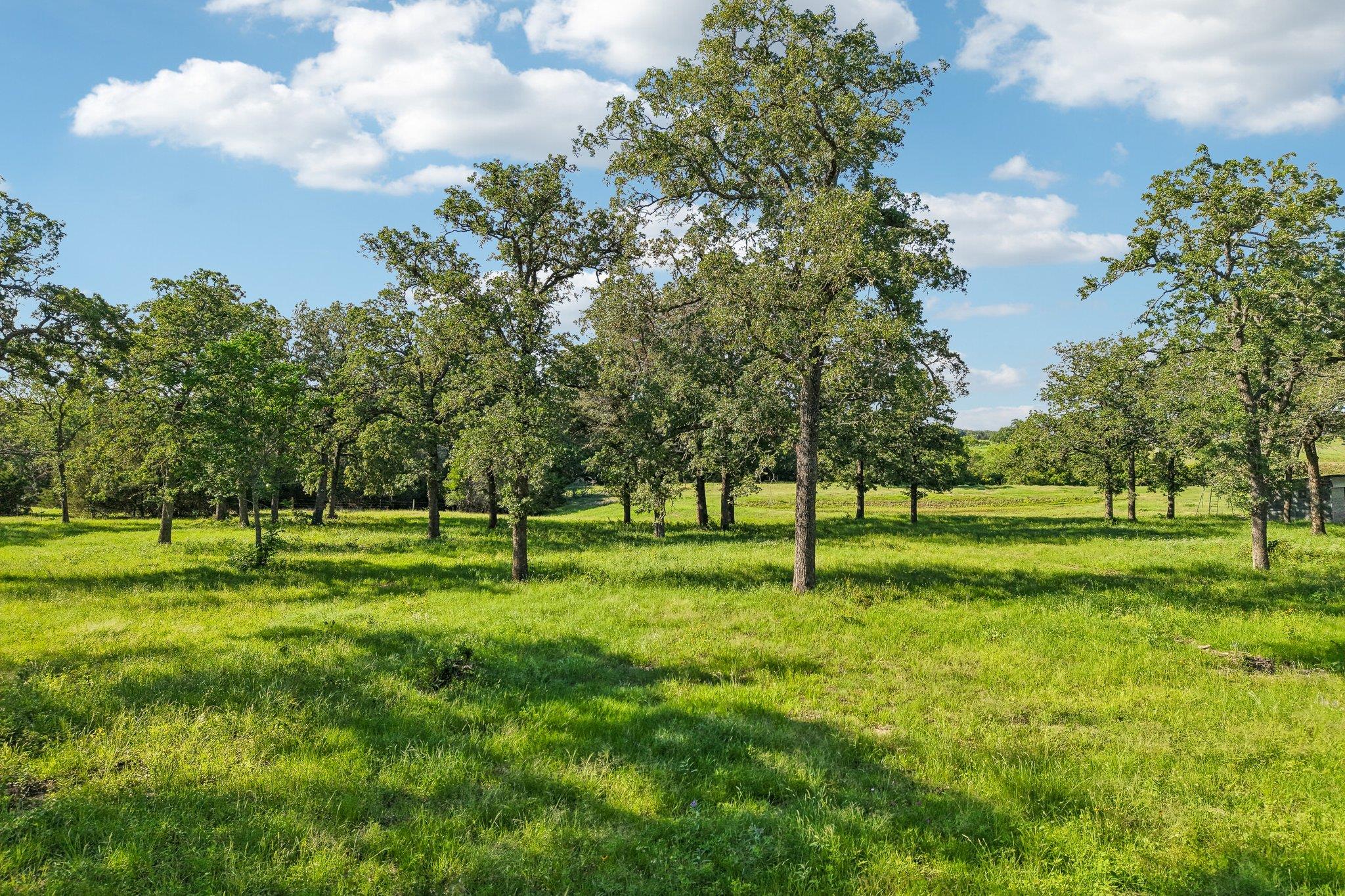 6 Acres County Road 211 Giddings TX 78942